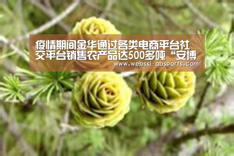 疫情期间金华通过各类电商平台社交平台销售农产品达500多吨“安博体育官网下载”(图2) 安博体育官网下载