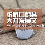 张家口蔚县大力发展文化旅游、现代服务业等产业|安博体育官网下载(图4) 安博体育官网下载