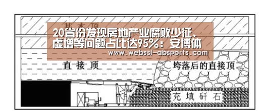 20省份发现房地产业腐败少征、虚增等问题占比达95%:安博体育官网下载(图1) 安博体育官网下载