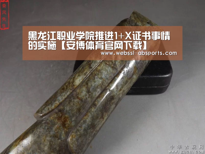 黑龙江职业学院推进1+X证书事情的实施【安博体育官网下载】(图1) 安博体育官网下载